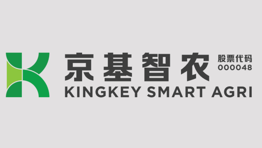 全球富豪财富大蒸发,刘伯温四肖八码期准选一码凤凰,收益成语分析落实_社交版V11.79